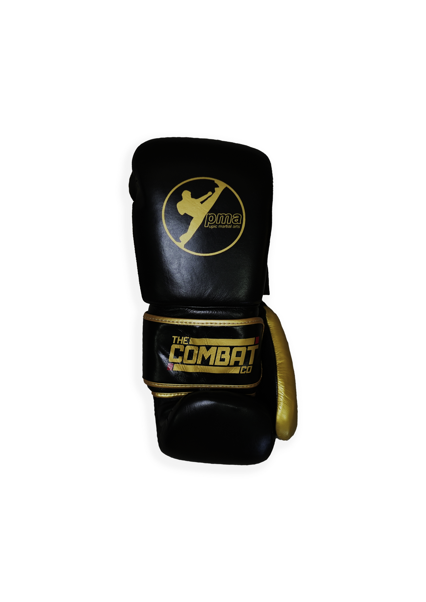 PMA Boxing Gloves